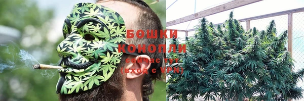 гидра Беломорск