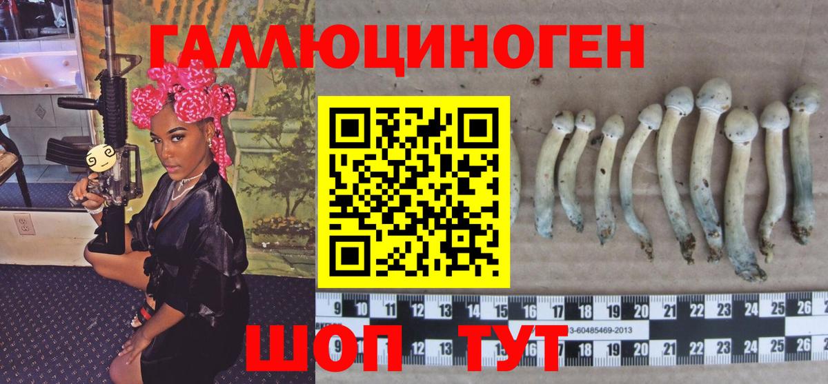 Галлюциногенные грибы GOLDEN TEACHER Городец