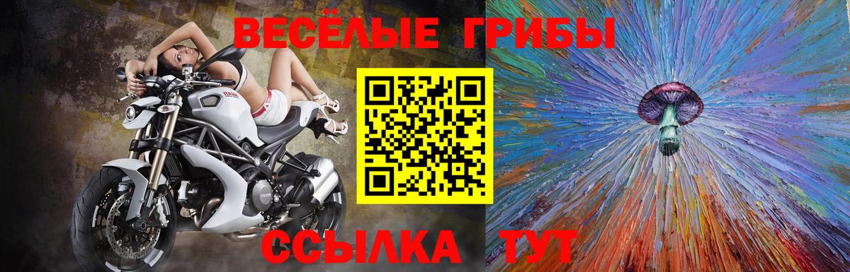 Псилоцибиновые грибы Magic Shrooms  Вход с VPN  Городец 